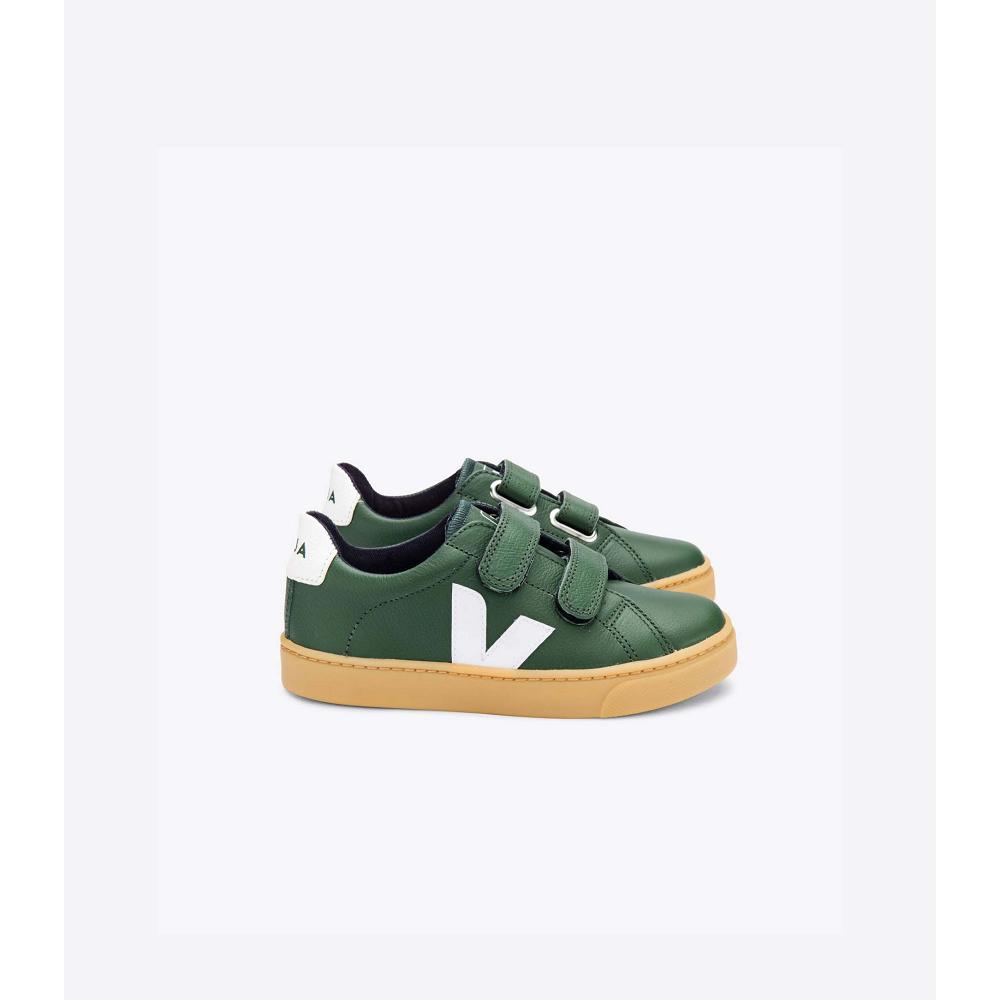 Veja ESPLAR LEATHER Sko Barn Grønn | NO 736TCE